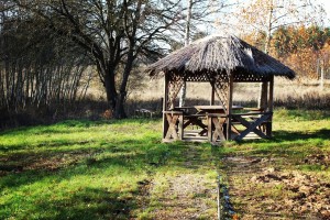 фото снять агроусадьбу на сутки Снять агроусадьбу на сутки