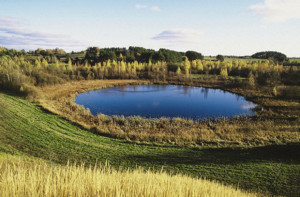 Отдых и рыбалка на озерах фото Браслав Отдых и рыбалка на озерах